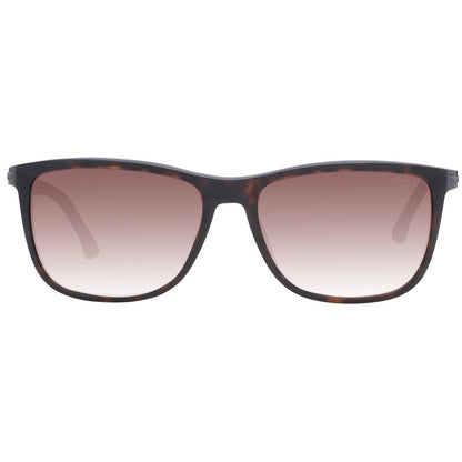 Police Brown Men Sunglass