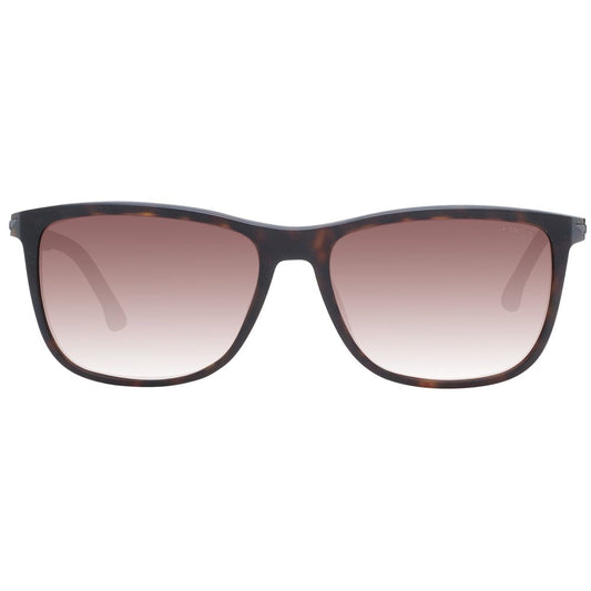 Police Brown Men Sunglass