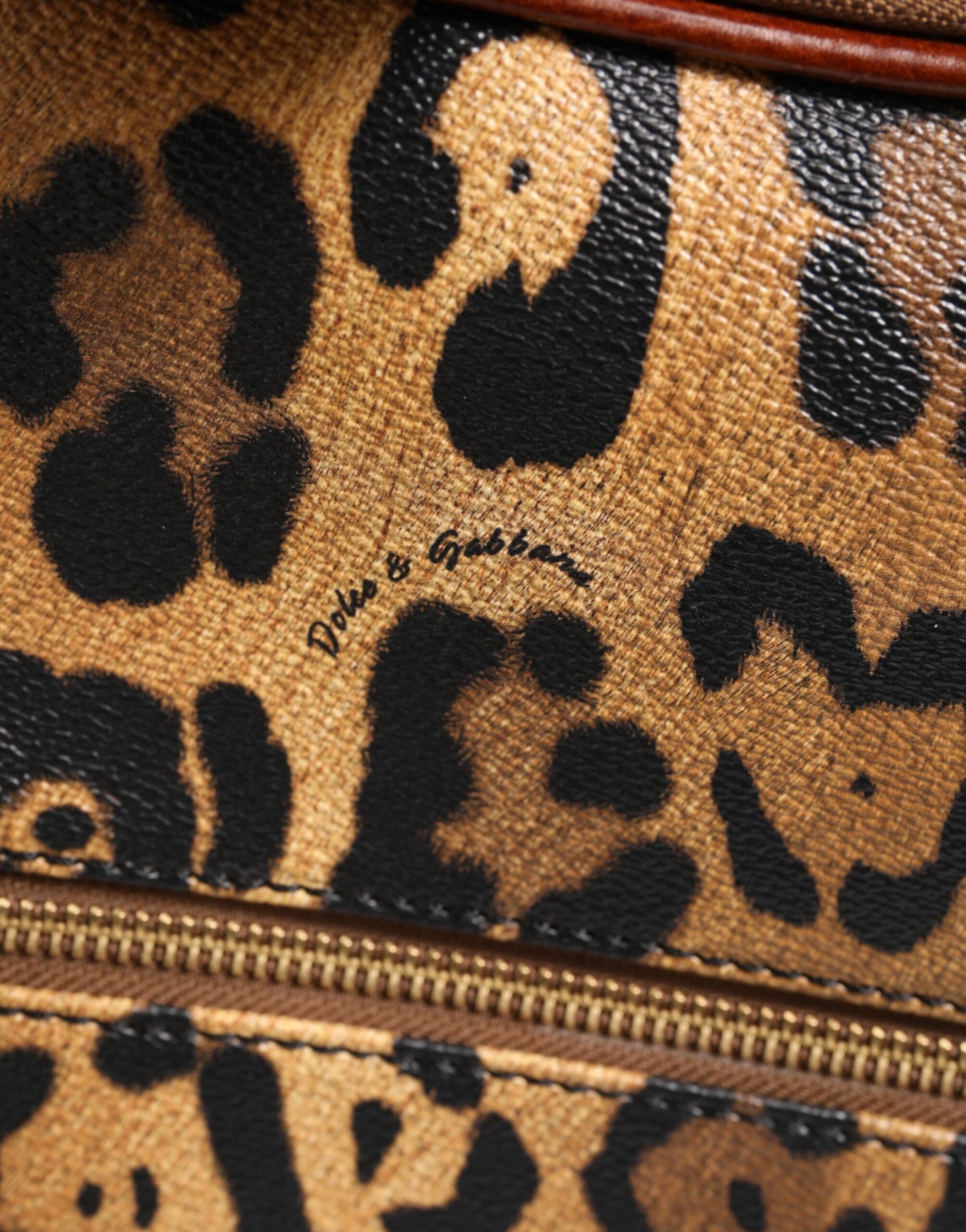 Dolce & Gabbana Brown Leopard Print Leather Trolley Travel Wheel Suitcase Bag
